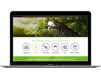 Gold Coast Website Design